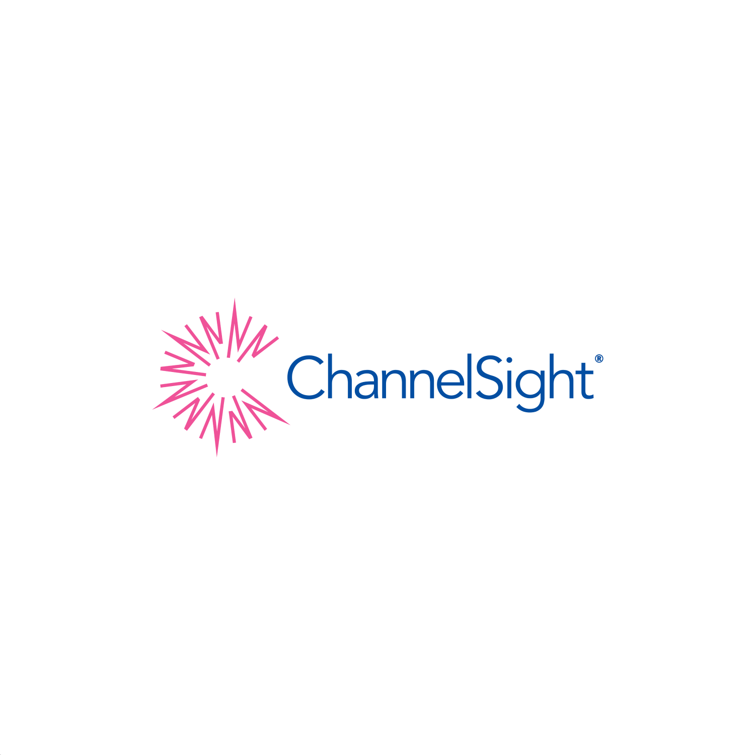 ChannelSight Logo